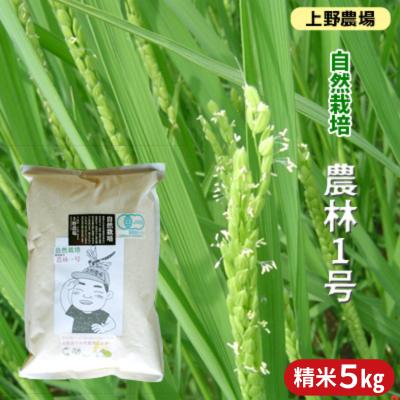 【ふるさと納税】上野農場 自然栽培農林1号 精米5kg お米 米 新潟市