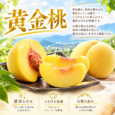 【先行受付 2027年発送】山梨市産　黄金桃　約2kg(5～8玉)【配送不可地域：離島】