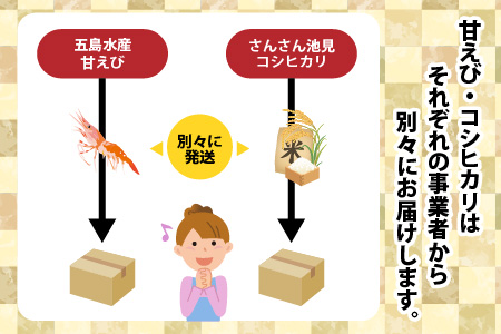 越前三國の極み甘えび丼セット ～全国ランキング常連の甘えびとコシヒカリのコラボ～ [A-2397]
