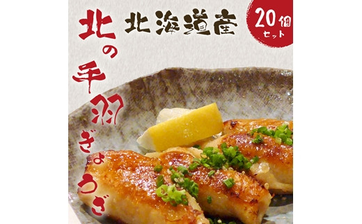 北海道産鶏肉を使った手羽先餃子【北の手羽ぎょうざ】20個セット(5個×4袋)≪配送地域限定≫【53002】