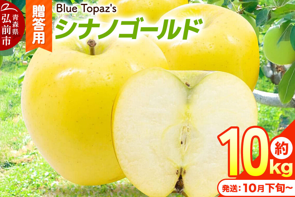 【26年10月下旬～発送】りんご シナノゴールド【贈答用】約10kg 内のし付き 青森県 弘前市 [先行予約 アップル おいしい ふじ りんご 果実 果物 黄色 津軽 糖度 美味 林檎]