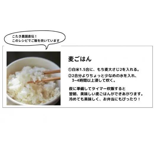 【2026年8月から発送】キラリもち麦 約2kg (約1kg×2袋)