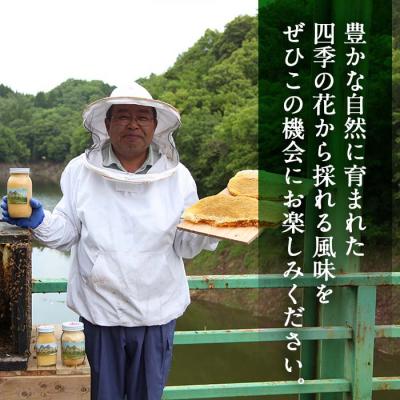 ふるさと納税 佐伯市 国産 はちみつ (600g) 多賀さん採蜜 |  | 03
