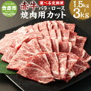 【ふるさと納税】【選べる定期便】赤牛 焼肉用 カット（バラ・ロース）1回あたり約500g×1パック 計約1.5kg 計約3kg 3ヶ月 6ヶ月 定期便 あか牛 牛肉 和牛 肉 お肉 バラ肉 ロース肉 やきにく 焼肉 焼き肉 冷凍 お取り寄せグルメ 熊本県 合志市 送料無料