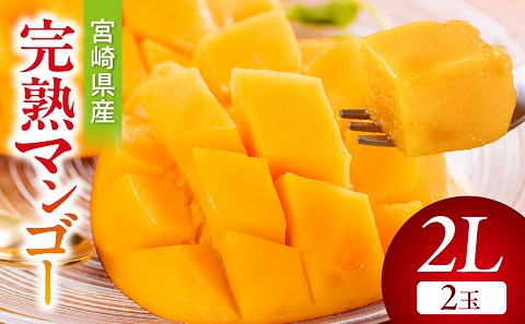 《2026年発送先行予約》【数量・期間限定】宮崎県産完熟マンゴー2L(2玉) マンゴー フルーツ 果物