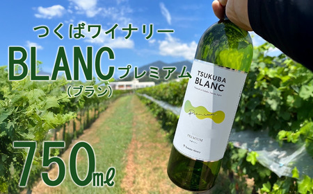 つくばワイナリー TSUKUBA BLANC プレミアム │ ワイン ワイン ワイン ワイン ワイン