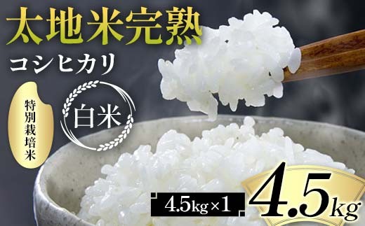 
                  2026年産 特別栽培米 太地米完熟 【こしひかり】 白米 4.5kg ブランド米 お米 精米 白米 人気 F7X-0662
                
