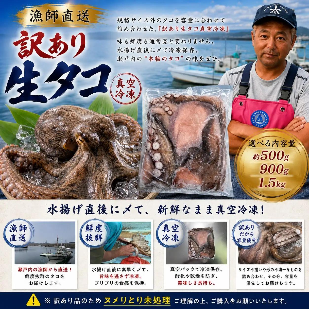 訳あり 瀬戸内 海の幸 セット 真空 生タコ 約 500g 