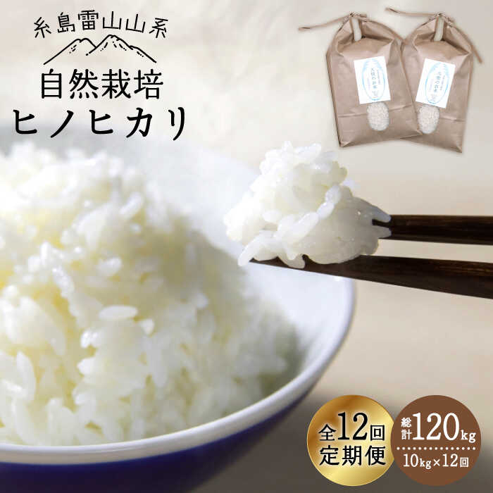 【ふるさと納税】【令和7年産新米予約】【全12回定期便】自然栽培ヒノヒカリ10kg《糸島》【大石ファーム】【2025年11月中旬以降初回発送】 [ATE022] お米 白米 476000円 常温 400000円 40万