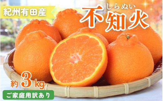 【ご家庭用訳あり】紀州有田産不知火(しらぬひ) 約3kg 【予約】※2027年2月中旬頃〜3月中旬頃に順次発送予定(お届け日指定不可)【uot830A】