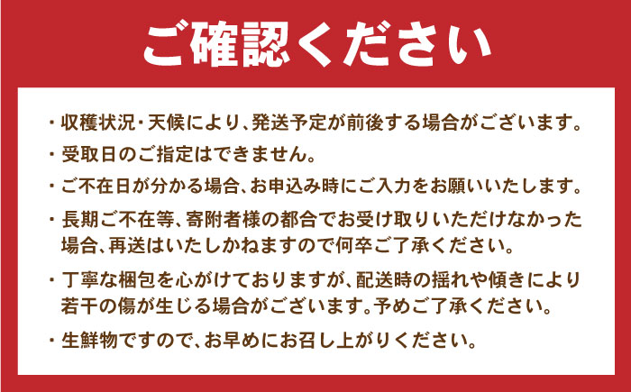 【6回定期便】諫早産野菜の詰め合わせ(8～9品目程度) / 季節 旬 野菜 春野菜 夏野菜 秋野菜  / 諫早市 / 肥前グローカル株式会社 [AHDI002]