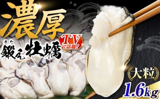 牡蠣【冷凍】鍛え牡蠣のむき身 1.6kg 江田島市／有限会社寺本水産 [XAE022]｜鍛え牡蠣 牡蠣 かき カキ 冷凍 加熱用 冷凍牡蠣 広島牡蠣 国産 料理用 鍋 フライ バター焼き アヒージョ 炊き込みご飯 牡蠣飯 パスタ 惣菜 おかず 夕食 惣菜 パーティー BBQ 家飲み おつまみ ぷりぷり 冬の味覚 人気 おすすめ お取り寄せ グルメ