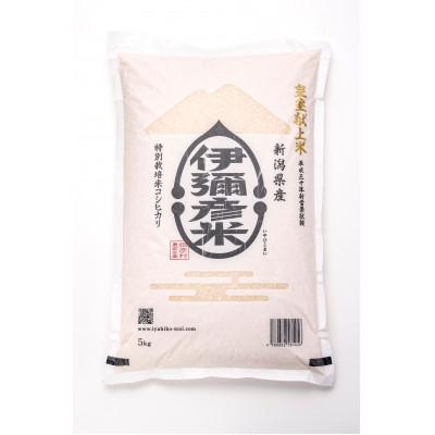 ふるさと納税 弥彦村 令和8年産 皇室献上米「伊彌彦米」玄米20kg(5kg×4袋) 新潟県産コシヒカリ 弥彦村