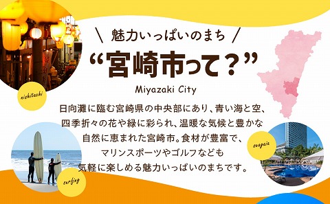 宮崎県宮崎市の対象ツアーに使えるHISふるさと納税クーポン 寄附額500000円_M294-HIS006