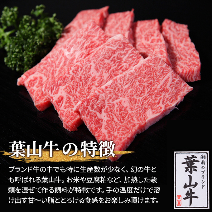 葉山牛 ロース すきやき 500g 冨士屋牛肉店 葉山牛 和牛 にく すき焼き 鍋 肉用 霜降り 冷凍 お中元 ギフト 箱入り 贈答用 豪華 神奈川県 【 逗子市 】