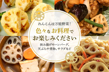 れんこん 2箱 ( 約 8kg ) 新ひたち野大地のめぐみ 旬の野菜 季節限定 (B01-013)