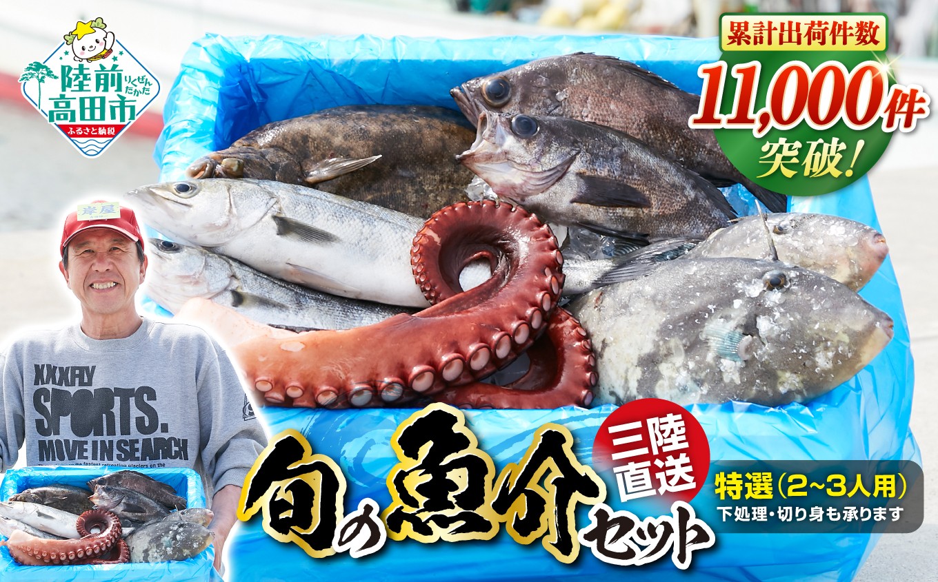 
                  【特選】 鮮魚セット 鮮魚ボックス 三陸海の恵み 詰め合わせ 【下処理可】目安：2～3人用【 鮮魚セット 鮮魚 三陸産 海鮮 旬 地魚】RT841
                
