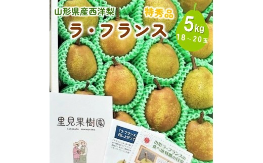 西洋梨（ラ・フランス）５ｋｇ　１８～２０玉　特秀品　0079-2620