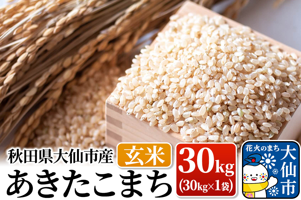 新米 米【令和7年産】あきたこまち 玄米 30kg（30kg×1袋）秋田県大仙市産