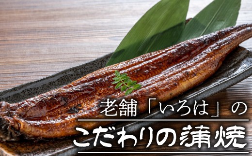 M686 国産 うなぎ 鰻 ウナギ 蒲焼き 蒲焼  約150g×3尾 真空 高級 宮若市