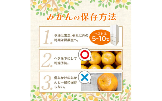 【訳あり みかん 5kg】 訳あり 有田みかん 約5kg サイズ混合 / フルーツ 果物 くだもの 柑橘 みかん ミカン オレンジ 温州ミカン みかん 名産地 甘い みかん ご家庭用 訳ありみかん 蜜