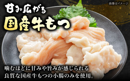 【牛もつ2倍！】【ご家庭用】博多もつ鍋（醤油味）3人前 《豊前市》【株式会社 海千】[VEC010]
