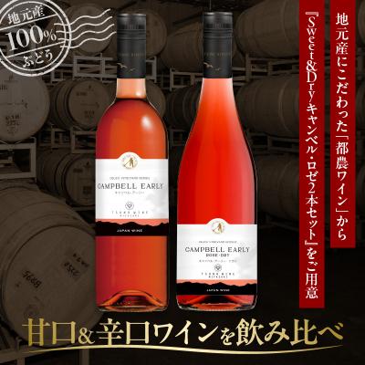 ふるさと納税 都農町 Sweet&Dry キャンベル・ロゼ2本セット 酒 飲料 国産 都農スペシャル_T014-002 |  | 01