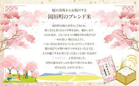 【3ヶ月定期便】福岡県産つやさくら 5kg 岡垣町 ふるさと納税返礼品 お米 こめ 精米 ご飯 ごはん 国産 定期便