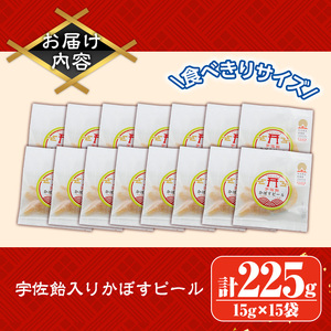宇佐飴入かぼすピール (計225g・15g×15袋) カボス お菓子 おかし おやつ【112800800】【岡部商事】