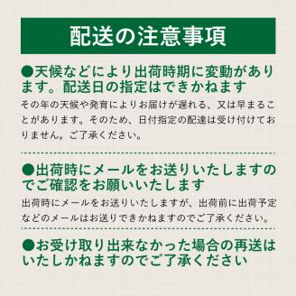 【2025年 先行予約】山梨県産　シャインマスカット 1.1kg (２房～3房)　山梨 フルーツ 人気 甘い 糖度 ぶどう シャイン マスカット 名産 糖度 大粒 種無し 種なし やまなし 葡萄 ブド