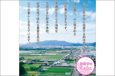 【0361-5】塩屋の天塩