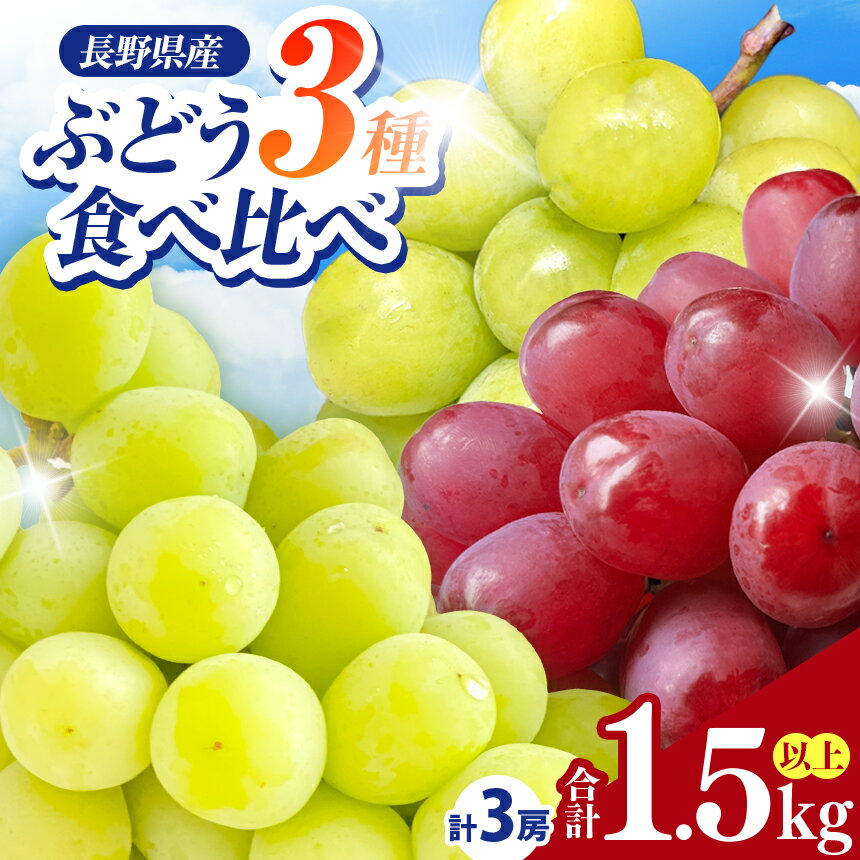 【ふるさと納税】【2026年先行予約】信州伊那産ぶどう3種食べ比べセット（約1.5kg）シャインマスカット　クイーンルージュ(R)　雄宝【024-18】 | 果物 フルーツ シャインマスカット クイーンルージュ(R) 雄宝 食べ比べ セット 長野県 伊那市
