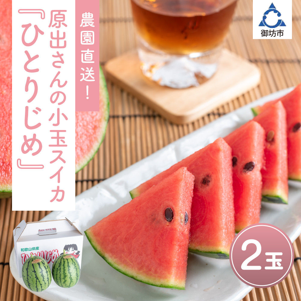 
            農園直送！原出さんの小玉スイカ（ひとりじめ）
          