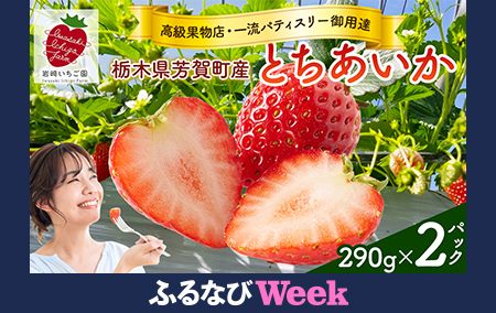 【ふるなびWEEK対象】【先行予約】有名パティスリー御用達！とちあいか290g(7～12粒)×2トレイ 栃木県芳賀町産 いちご | 果物 フルーツ いちご 苺 イチゴ とちあいか ブランド 期間限定 季節限定 旬 国産※2026年1月上旬～4月下旬頃に順次発送予定　FN-Limited-PR