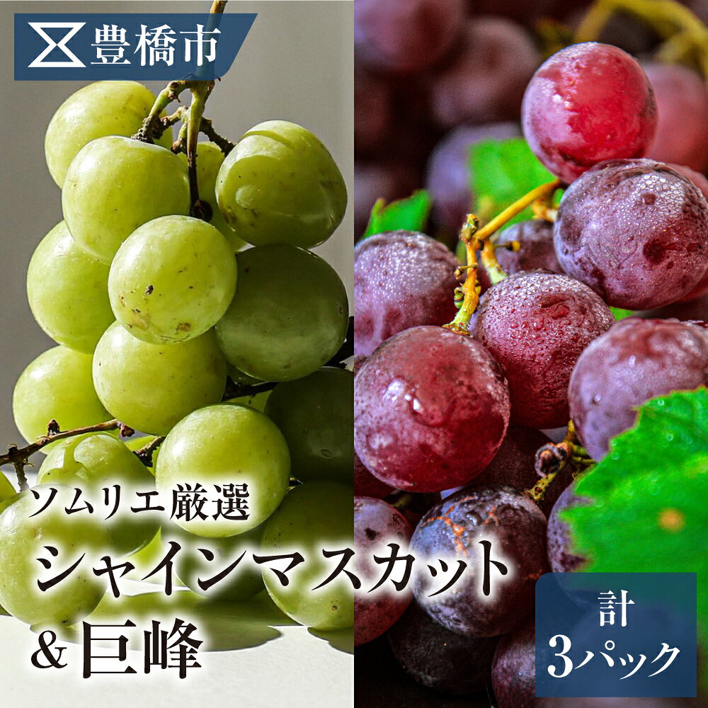 【ふるさと納税】《先行予約》豊橋市産 ぶどう2種詰め合わせ 産地直送 種なし巨峰 シャインマスカット 食べ比べ