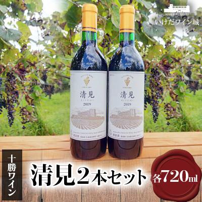 ふるさと納税 池田町 十勝ワイン 清見2本セット