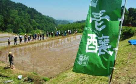 H4-04B壱醸 純米大吟醸 無濾過原酒21 720ml（長岡市旧栃尾地区棚田産越淡麗100%）【越銘醸】