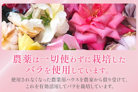 バラジャム ダマスクローズジャム 55g×1個 薔薇 ばら 花ジャム 福岡県 イングリッシュローズ ダマスクローズ 農薬を栽培期間中不使用 シャッカラ・デ・シャ みやこ観光まちづくり協会