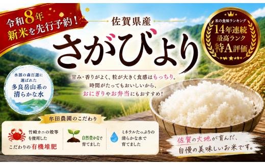【先行予約】牟田農園のさがびより 10kg （5kg×2袋） 【令和8年産】 ＜精米＞ 新米 米 さがびより 牟田農園 佐賀県 太良町 P114x2