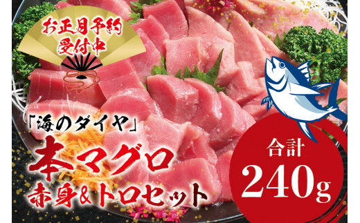 本マグロ（養殖）トロ＆赤身セット 240g 【12月25日～29日に発送】 / 高級 クロマグロ 中トロ 中とろ まぐろ マグロ 鮪 刺身 赤身 柵 じゃばらまぐろ 本マグロ 本鮪【nks113B-sg】