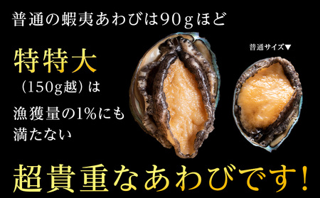 【2024年発送予約】利尻島産 天然活蝦夷あわび 5個＜特特大＞（150g～サイズ）＜福士水産＞