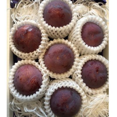 ふるさと納税 南アルプス市 【2026年発送/先行受付】すもも貴陽大玉　3kg(1.5kg×2箱)