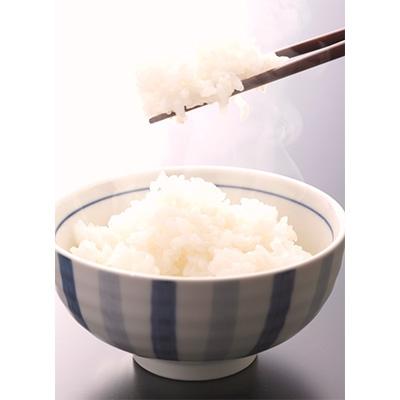 ふるさと納税 湯浅町 【令和6年産】　和歌山県産キヌヒカリ10kg |  | 01