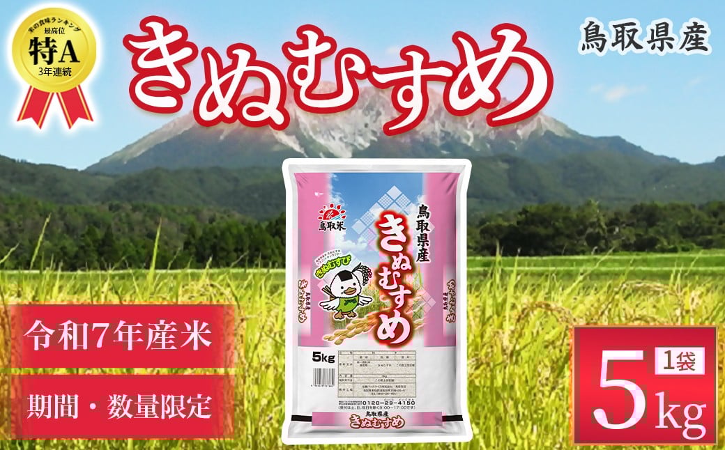 
            【数量限定】【令和7年産米】鳥取県産 きぬむすめ （5kg） パールライス 令和7年産米 精米 お米 米 こめ コメ 白米 ブランド 米5キロ きぬむすめ
          
