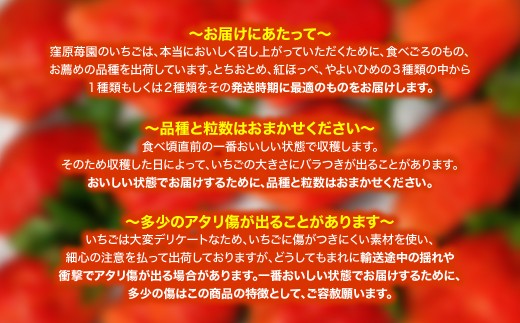 【先行予約・2027年1月～発送】農家直送！窪原さんちのこだわり極上、完熟いちご　（とちおとめ、紅ほっぺ、やよいひめのいずれかを約１㎏）／ふるさと納税 いちご 苺 イチゴ とちおとめ 紅ほっぺ やよい