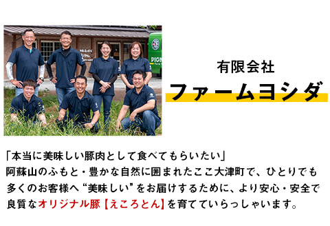 えころとん・豚肉5種(計1050g) バーベキュー・焼肉のたれセットファームヨシダ　《60日以内に出荷予定(土日祝除く)》---so_ffarmy5btr_60d_23_15500_1050g---