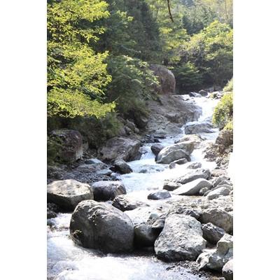 ふるさと納税 山梨県 忍沢養殖場特製「富士の介漬け魚セット」 |  | 03