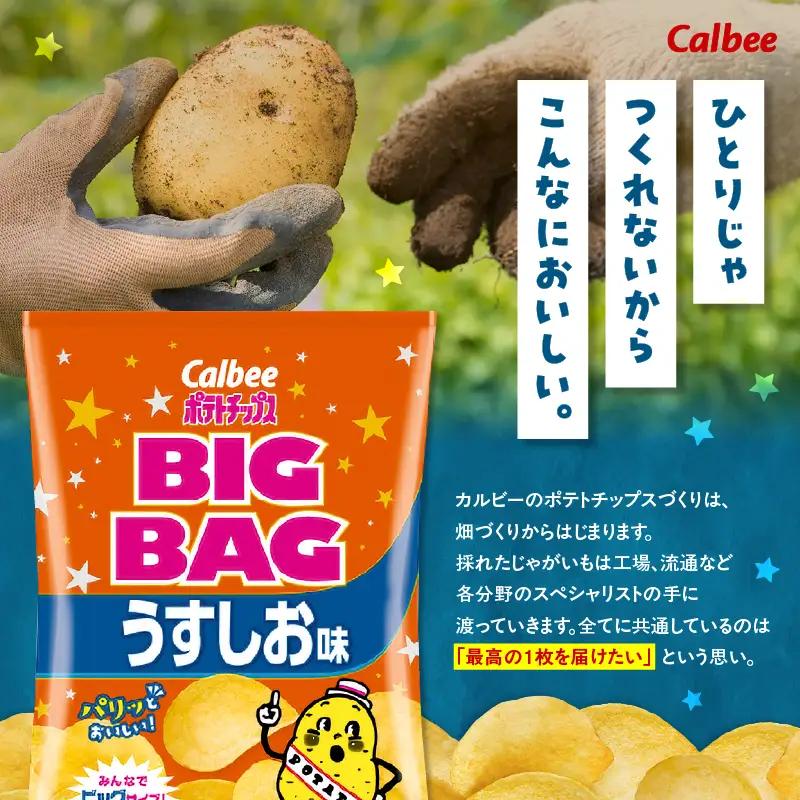 カルビー ポテトチップス BIGBAG【うすしお】12袋 K194-002_04 菓子