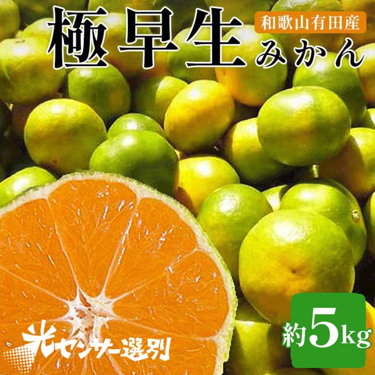 こだわりの極早生みかん 約5kg 農家直送 有機質肥料100% サイズ混合 ｜ みかん 極早生 早生 柑橘 果物 くだもの 果実 フルーツ 和歌山 有田 ※北海道・沖縄・離島への配送不可 ※2025年9月下旬～10月中旬頃に順次発送予定