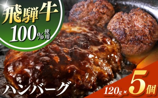 飛騨牛 100% ハンバーグ 120g 5個 | 冷凍 牛肉 和牛 国産 国産牛 岐阜 北方町 ハンバーグ 肉 お肉 肉汁 うまみ うま味 旨味